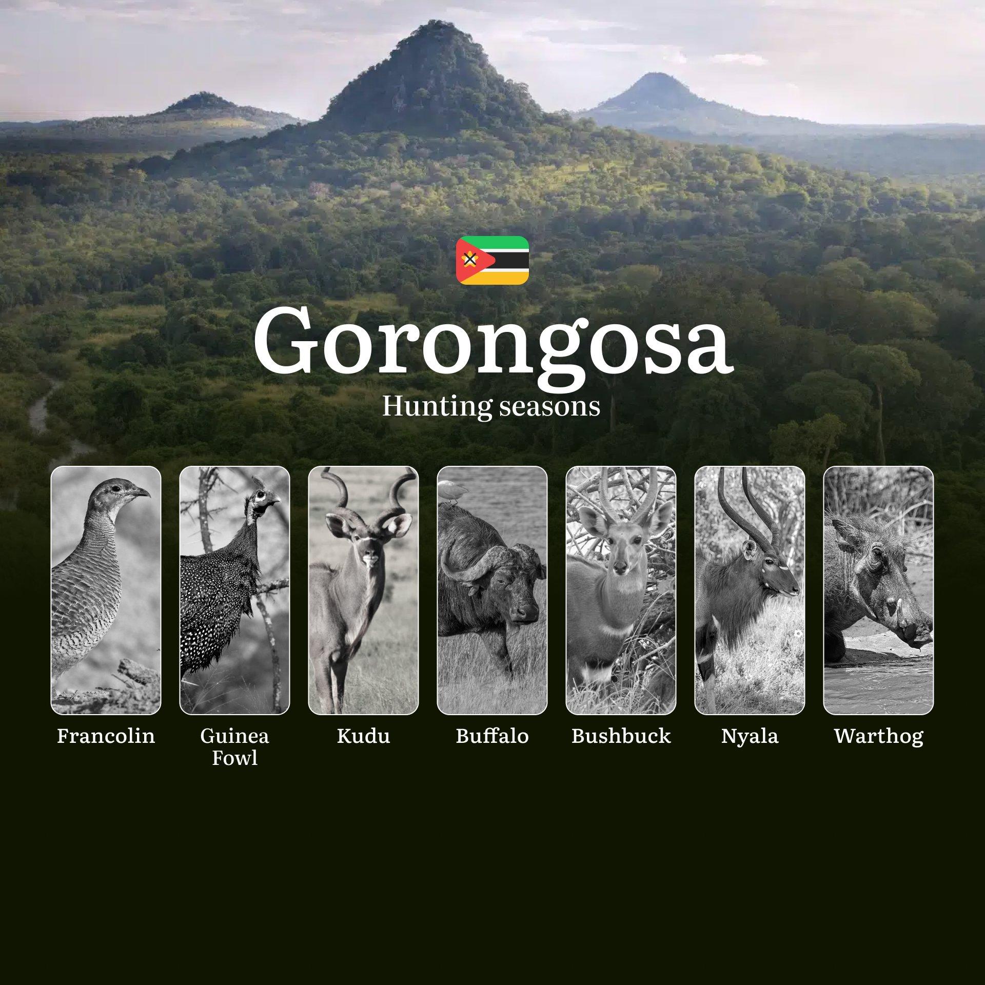 The Gorongosa Hunting Calendar: Balancing Conservation, Tradition, and Regulation in a Region Reborn Through Wildlife Restoration