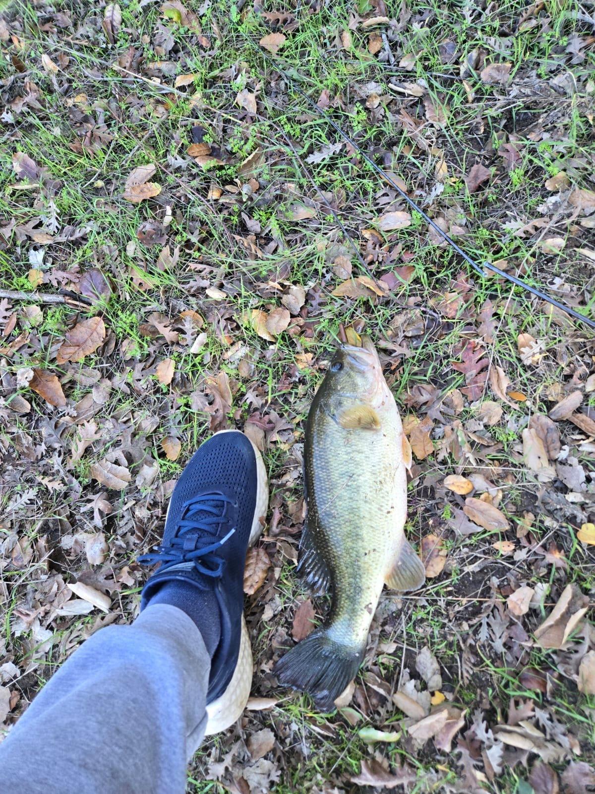 No luck today