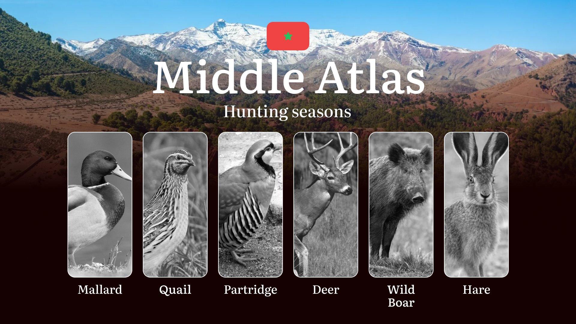 Hunting Periods and Permits in Middle Atlas: A Detailed Look at Game Movement Throughout the Year, Seasonal Limits, and Licensing Requirements and Application Process 
