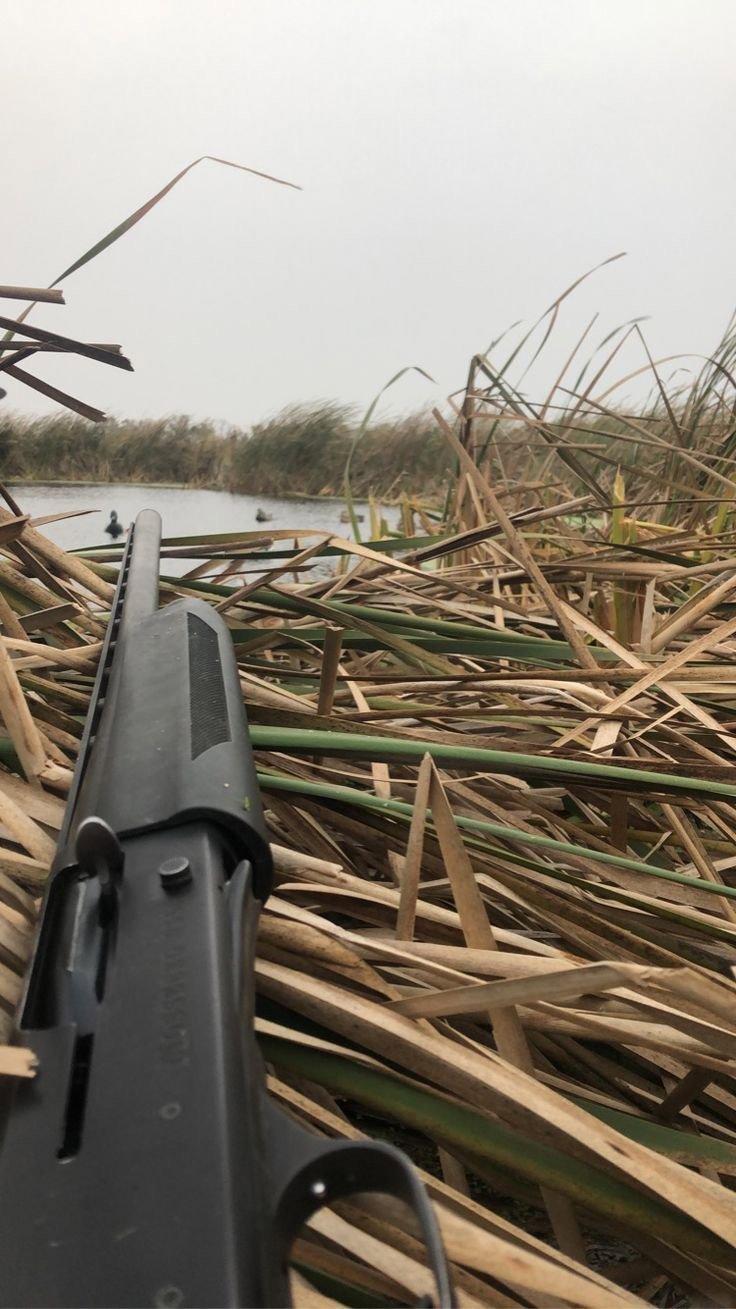Great place for hunting!