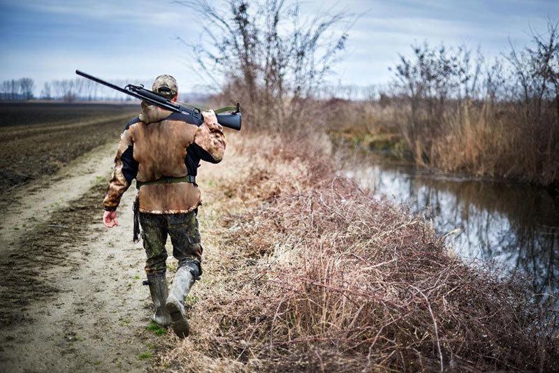 To obtain a hunting license for deer in Belarus, one must complete a course in hunting safety, pass a written exam, and provide proof of liability insurance.