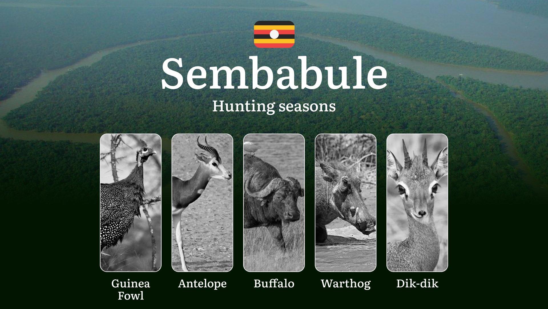 Hunting Date Ranges in Sembabule: Hunting Periods, Legal Limits and Seasonal Bans, Licensing Rules, Fines and Consequences, Strategic Planning, Timing, Equipment