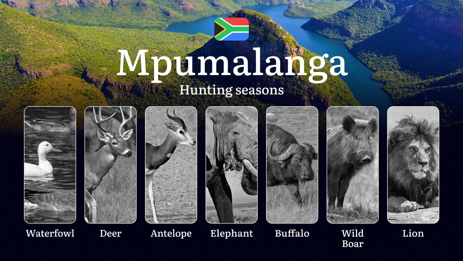 Hunting Periods in Mpumalanga, South Africa: Seasons, Permits, and Key Features of Hunting, Restrictions and Prohibitions, Hunting Permits