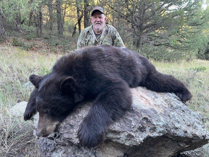 New Mexico bear down!!