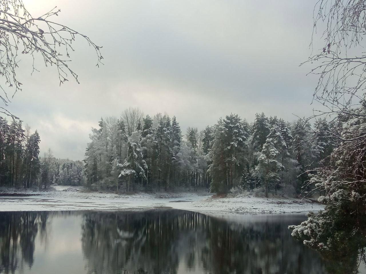 Snowy fairy tale from Igor Krol's hunting grounds in Novgorod Oblast