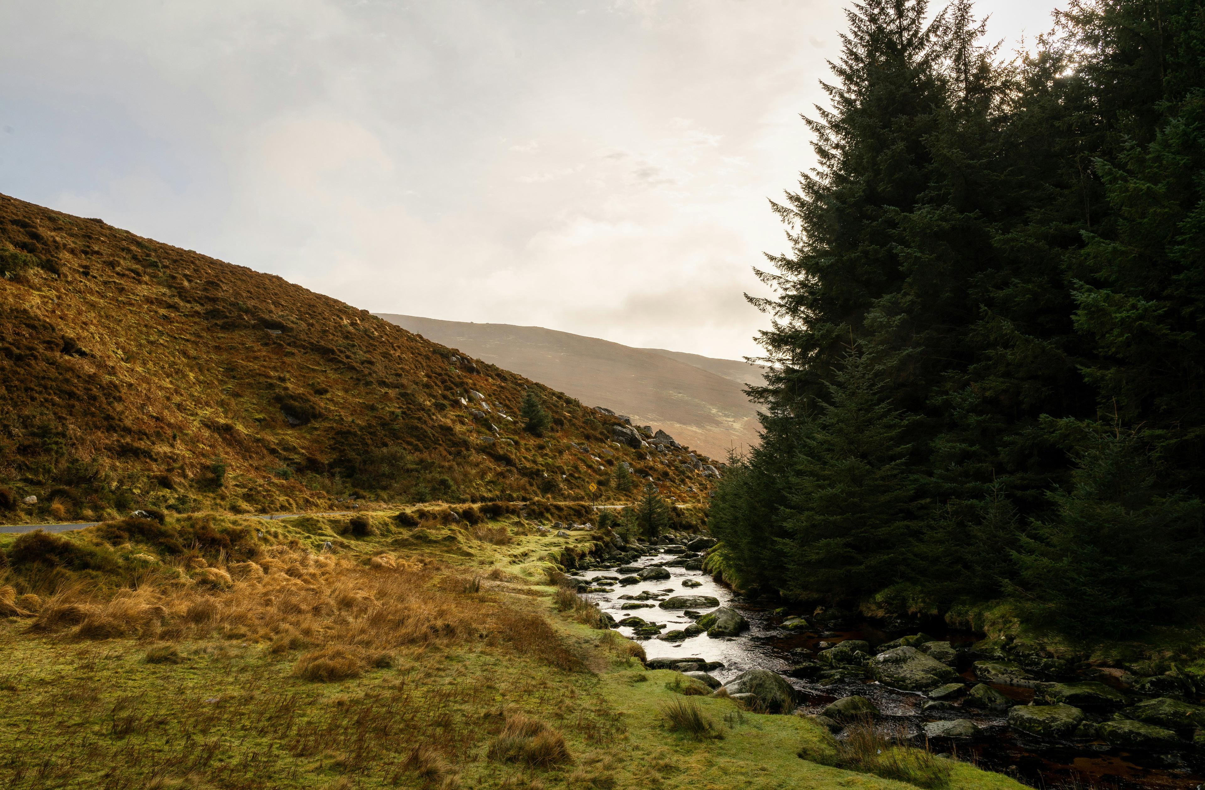Wildfowl Hunting in Ireland: A Hunter's Guide to Wetlands.