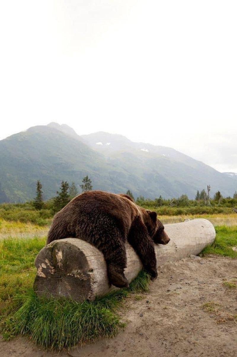 Today I do nothing…nothing realy no nothing!