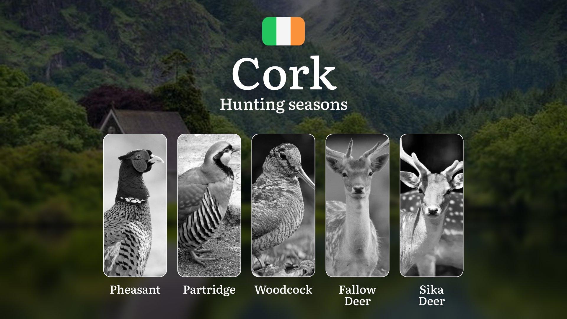 The Calendar of the Hunt: Exploring Seasonal Opportunities, Activities and Rules in County CORK