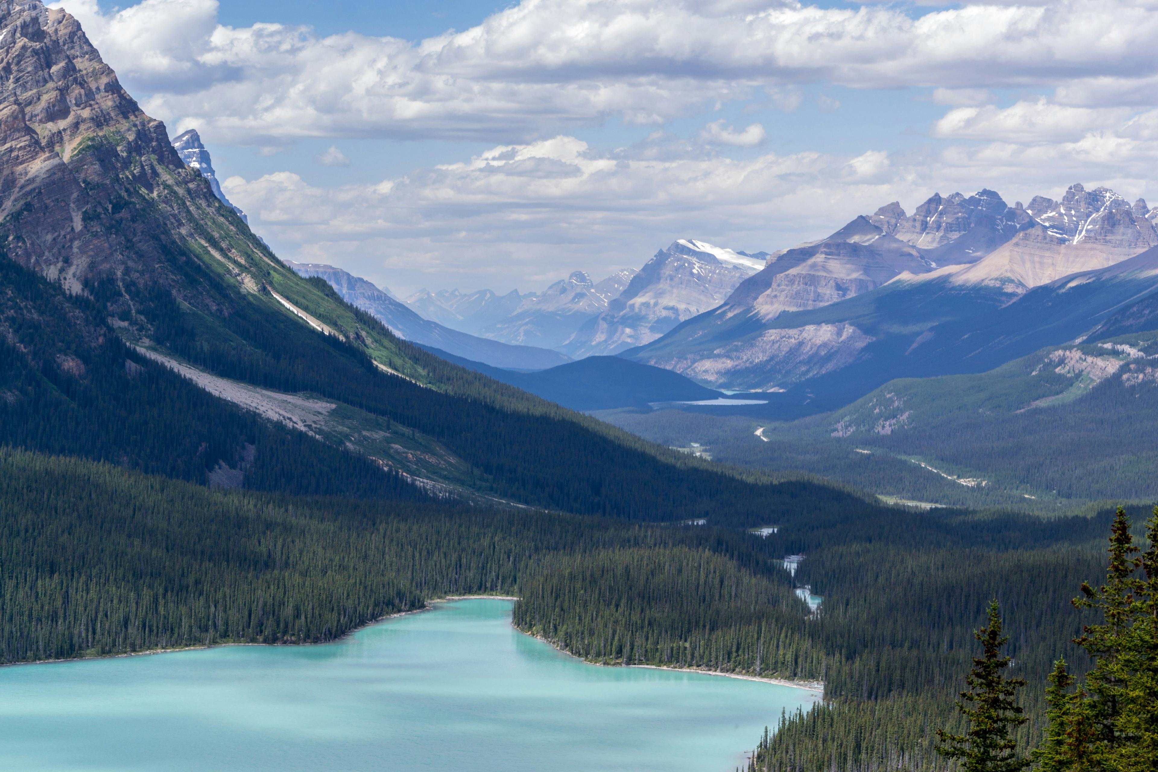 La chasse dans le PARC BANFF au Canada : Animaux emblématiques, saisons de chasse et territoires nationaux