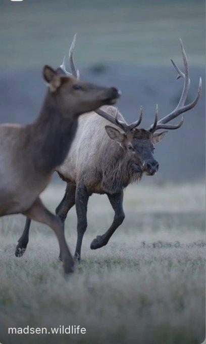 Charging into a new work week