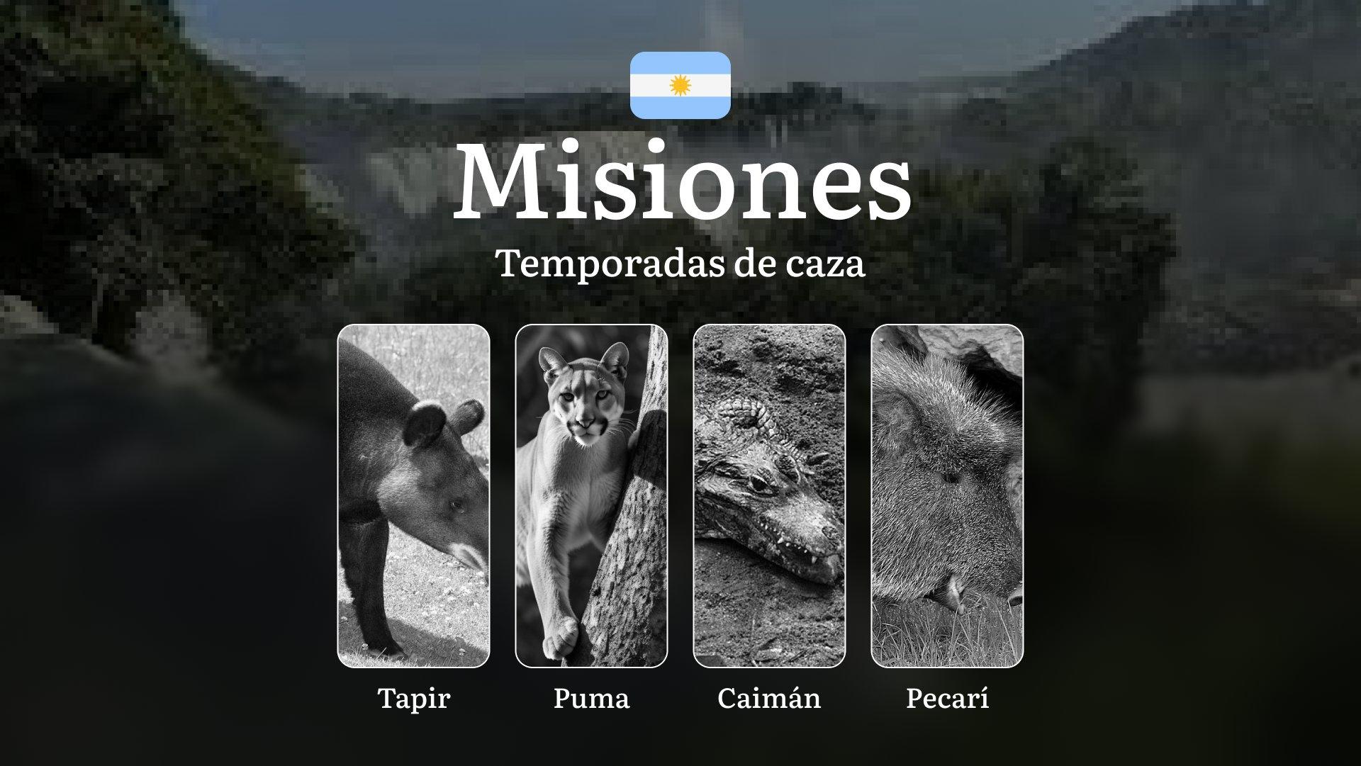 Misiones: fechas de caza, licencias, reglas y tácticas, particularidades estacionales de la caza, restricciones y especies protegidas en la región