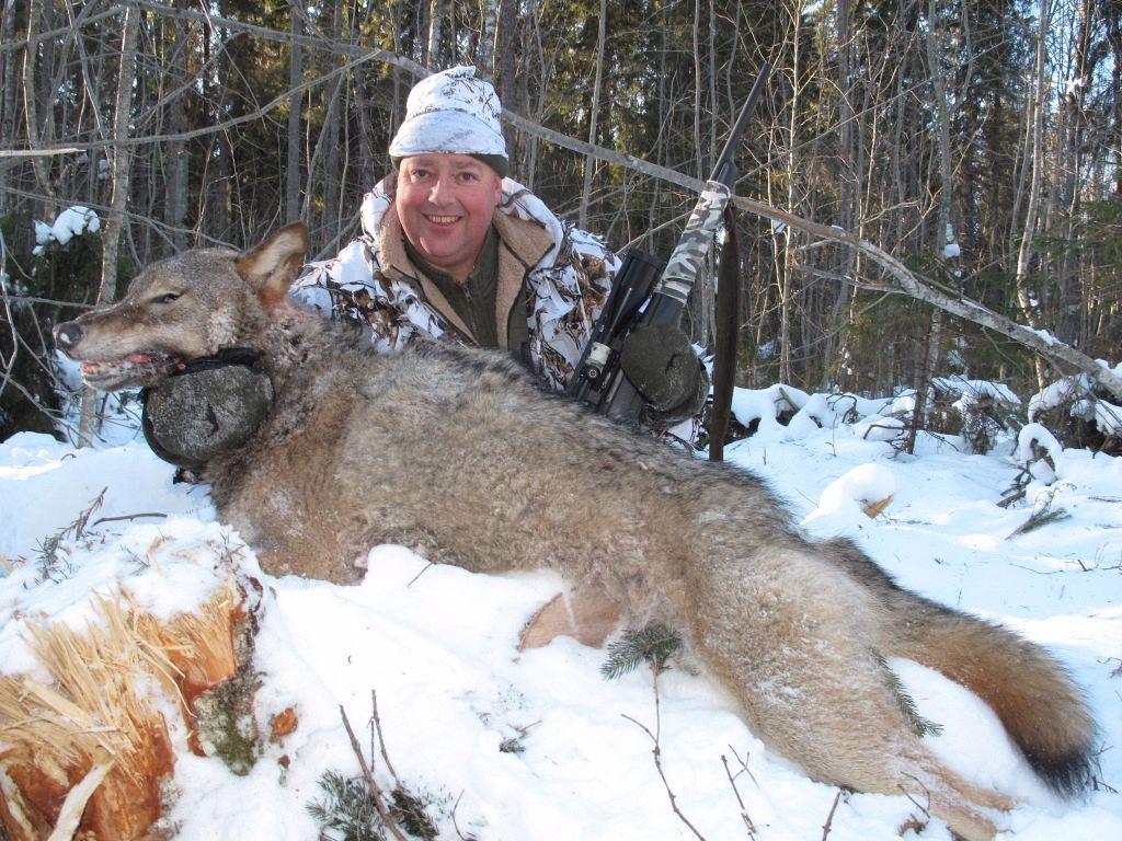 Wolf hunting is a driven hunt with flags.