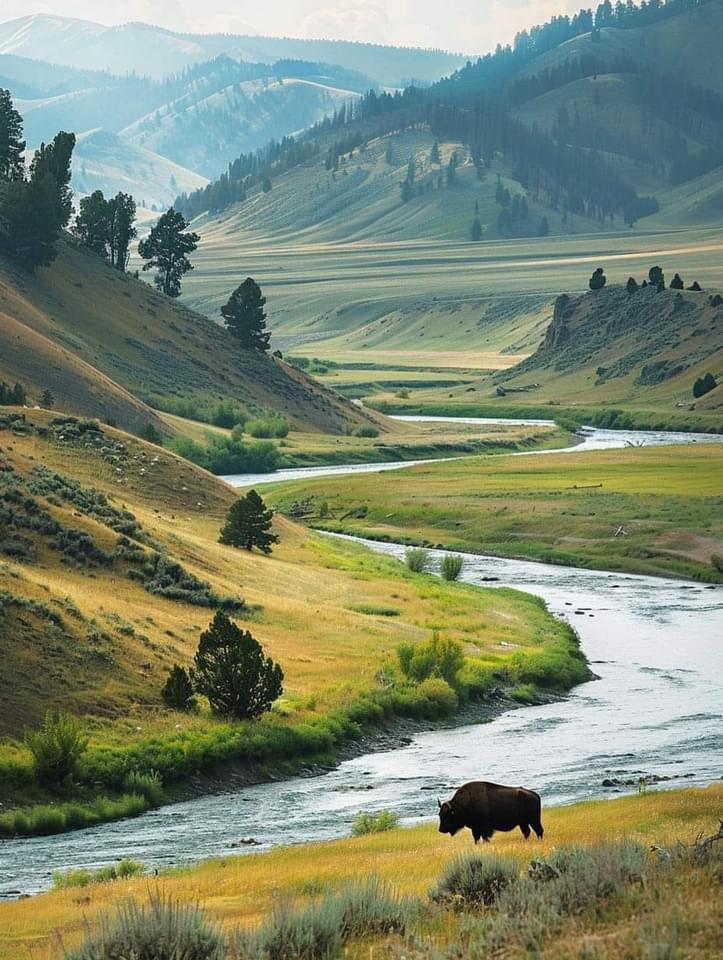 The Yellowstone River, originating in the Absaroka Range in Wyoming, meanders through Montana before joining the Missouri River.