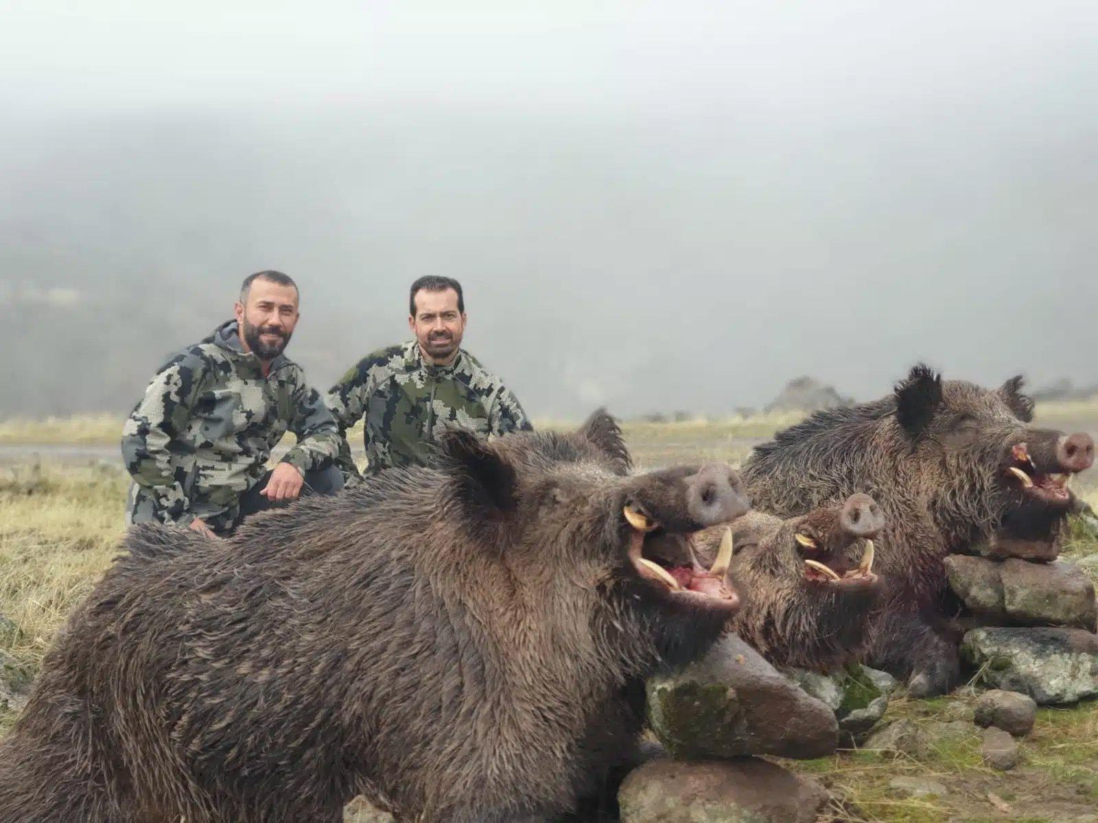 Jagd im Höfe (Kanton Schwyz), Schweiz: Demografie, Merkmale, Besonderheiten, Jagdstrategien, Wildarten, Jagdsaisons, Verbände, Jagdgesetze und Traditionen