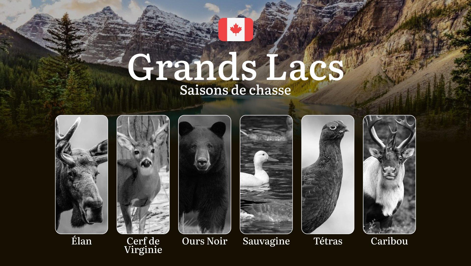 Saisons de chasse près des GRANDS LACS (Canada): calendriers complets, réglementations clés et stratégies gagnantes 
