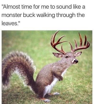 Meme time!