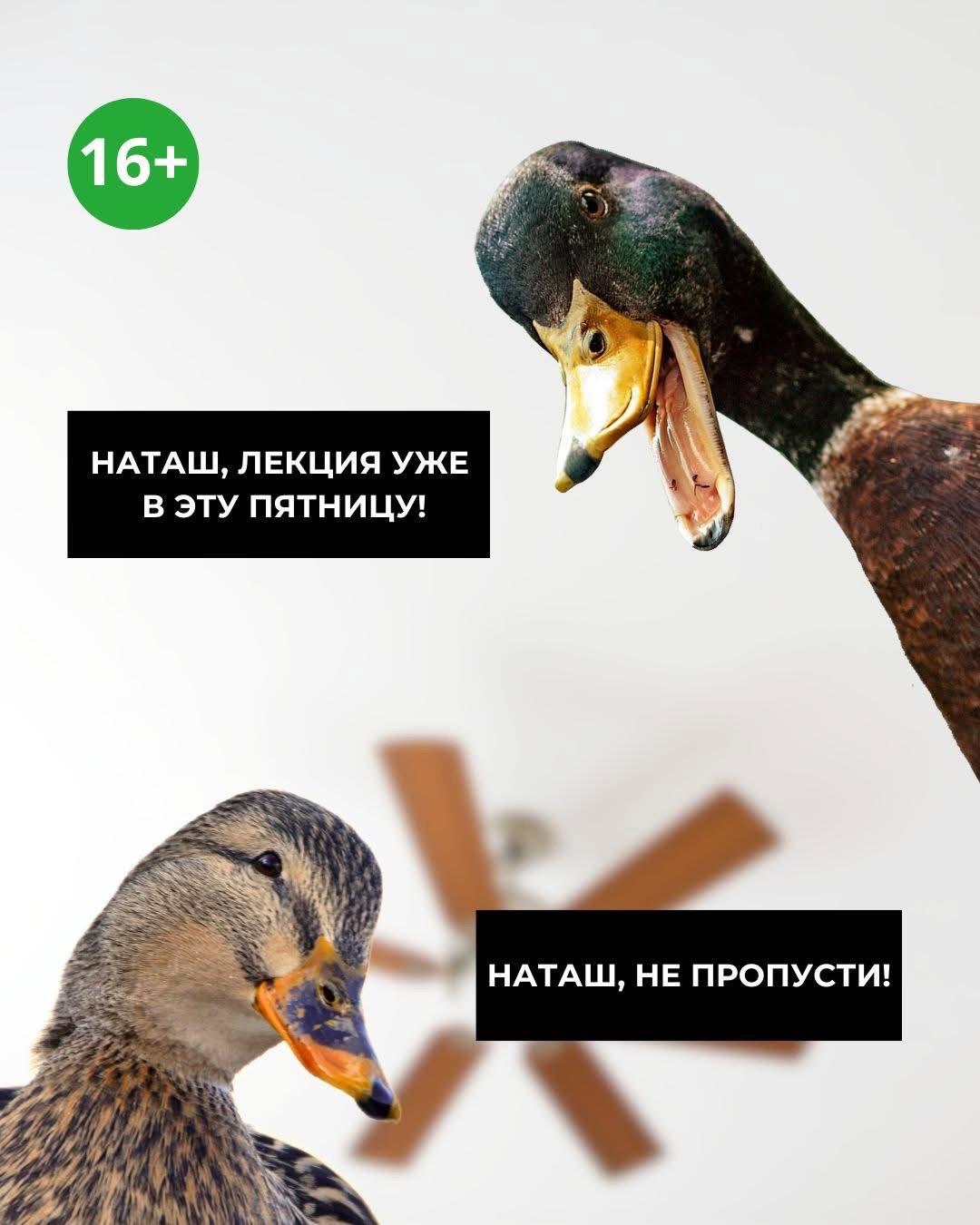 Уже в эту пятницу: самая горячая онлайн-лекция 2025 года: “Любовь и ceкc у птиц”!