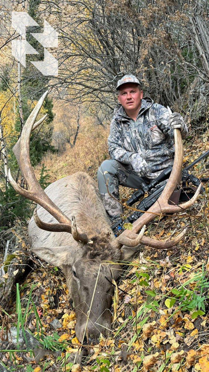 They say about 🇰🇿 Kazakhstan that it is a unique country for hunting.