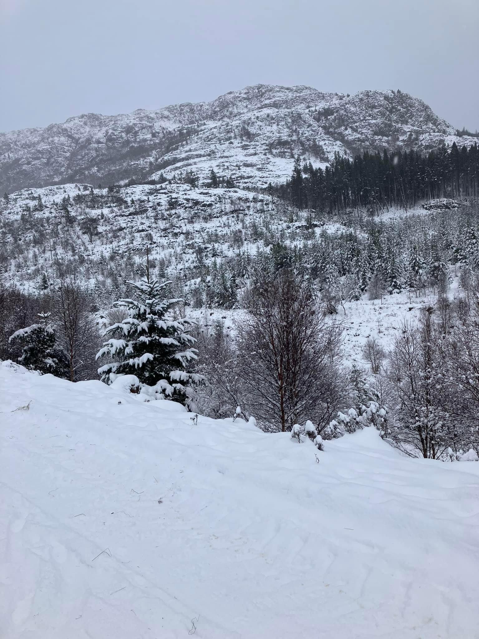 Fairly white.