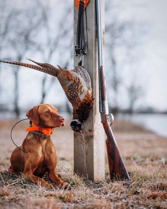 The last couple years I’ve found a new appreciation for hunting with friends and family.