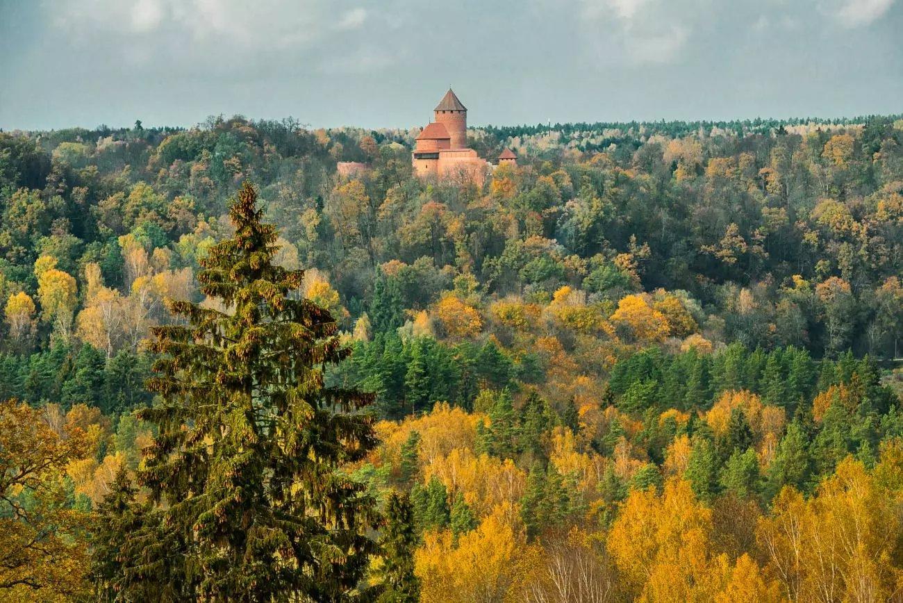 Turaidas muzejrezervātā iespējams iepazīties ar ekspozīcijām par arheoloģijas, kultūras un mākslas vēsturi, kas stāsta par notikumiem sākot jau ar 11.