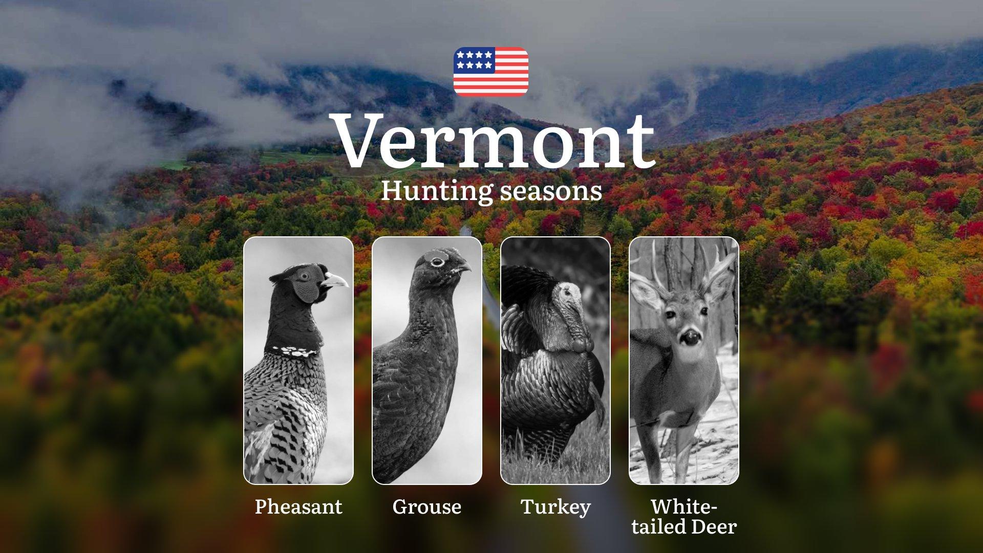 Hunting Seasons in Vermont, USA: Muzzleloader Seasons, Opening and Closing Dates, Licenses, Rules and Seasonality