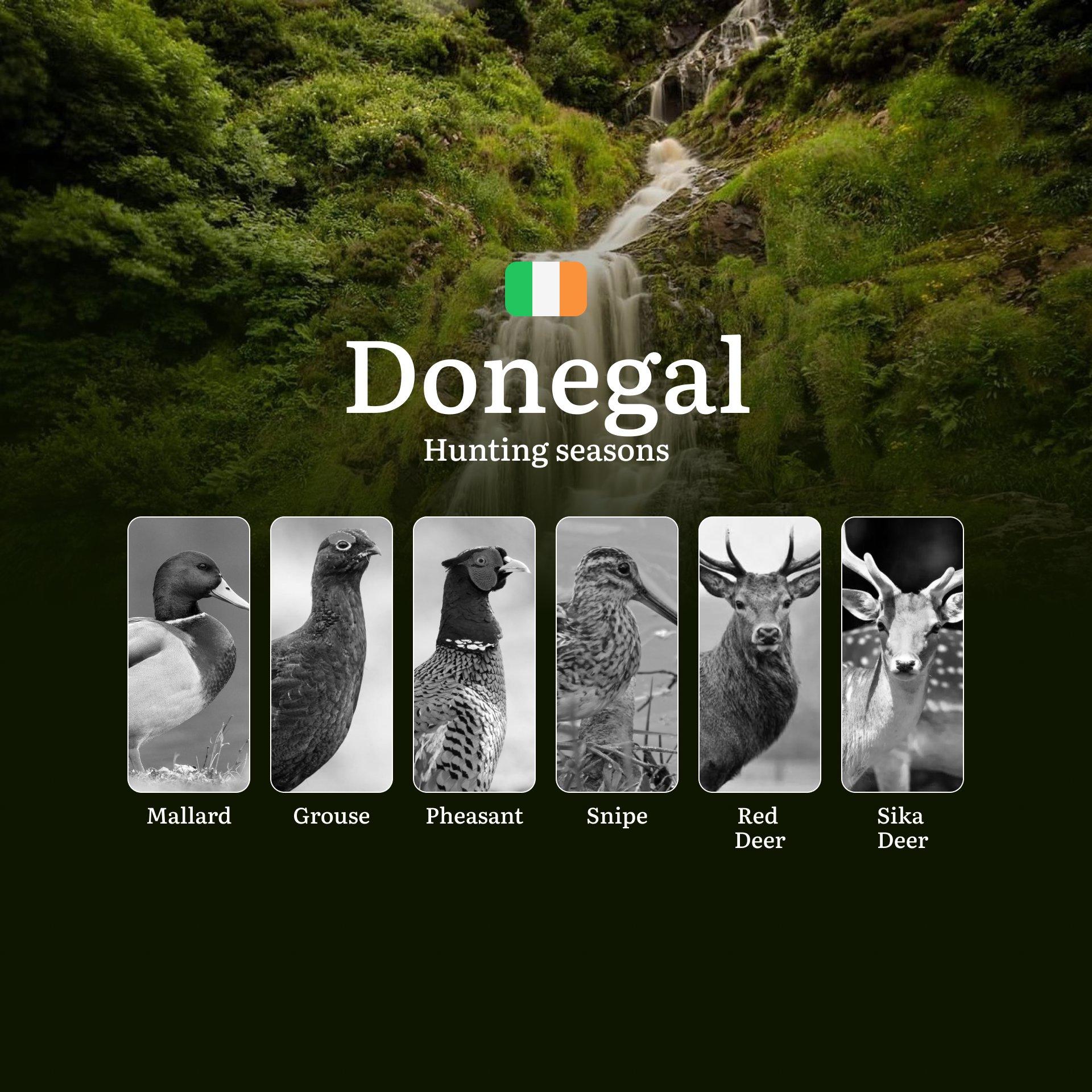 Unlocking the Wild: Hunting Seasons, Licenses, and Prime Times for the DONEGAL Wilderness
