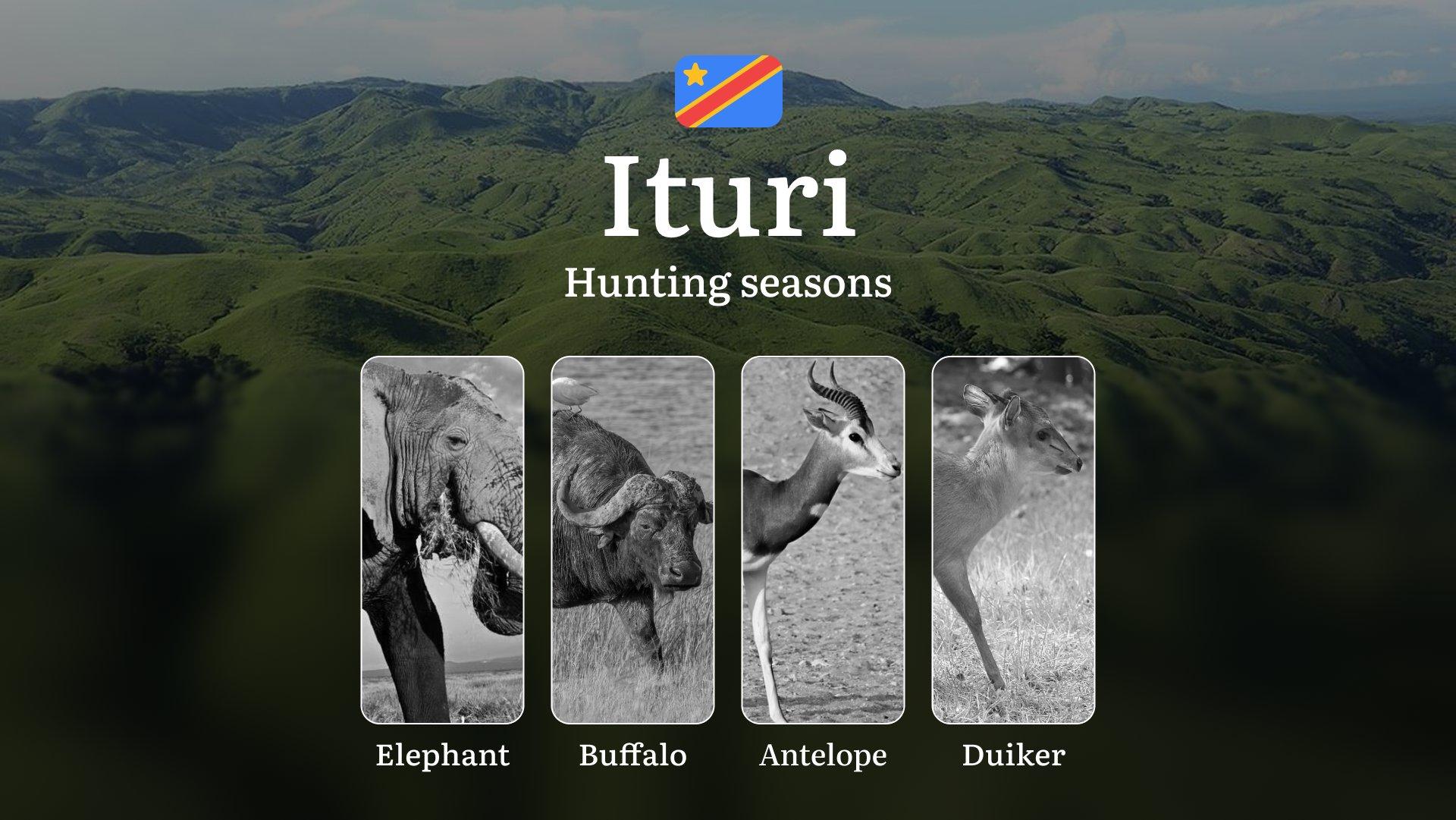 Ituri: Official Hunting Dates, Legal Limits, Licensing Standards, Gear Strategies, Tools, and Tactics 