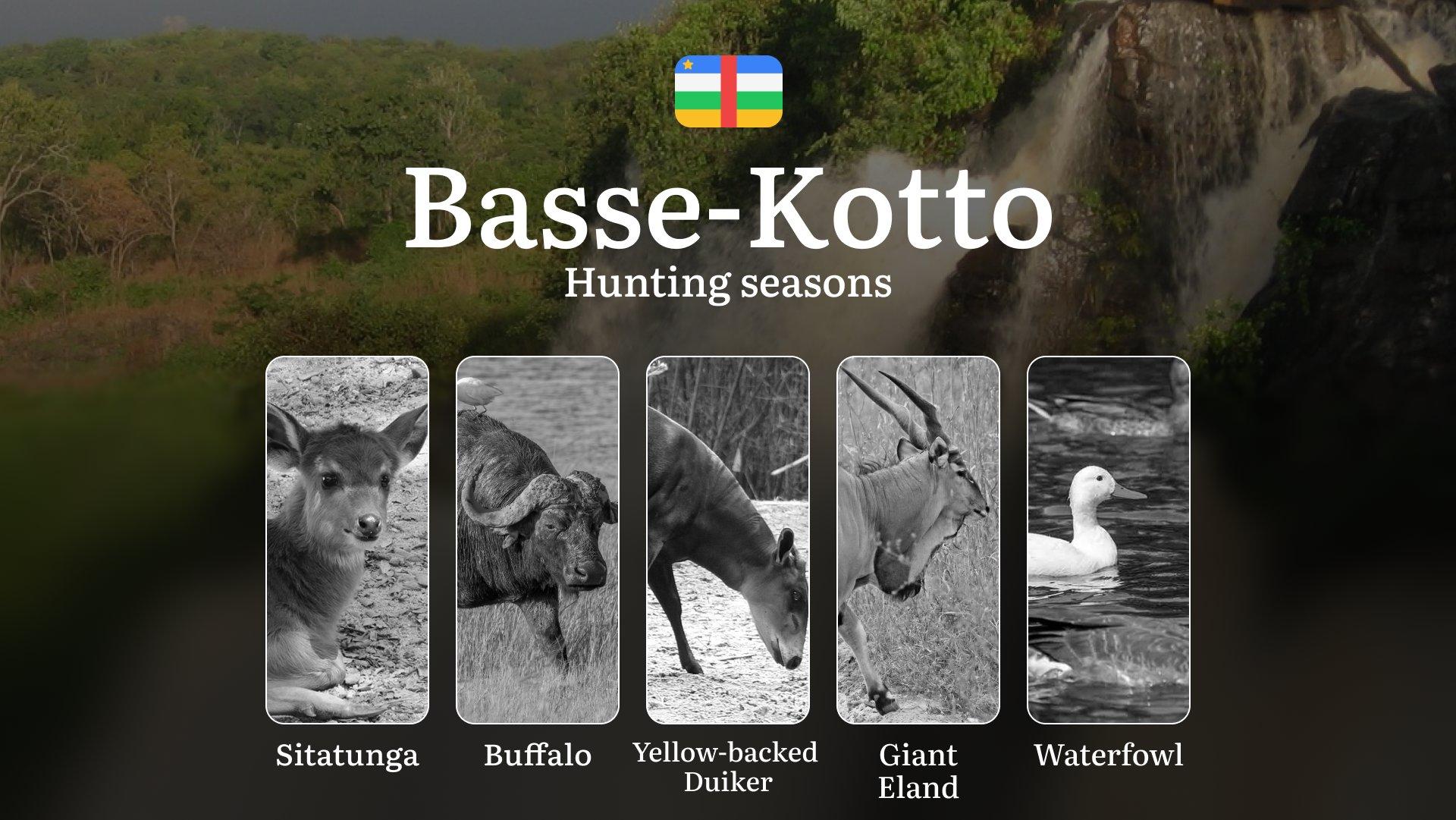 Hunting Through the Seasons in Basse-Kotto: Rules, Permits & Cultural Events and Traditions