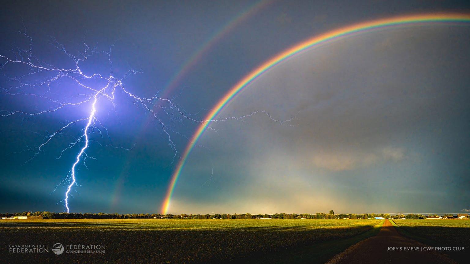 Winners of the 2024 Reflections of Nature Photo Contest.