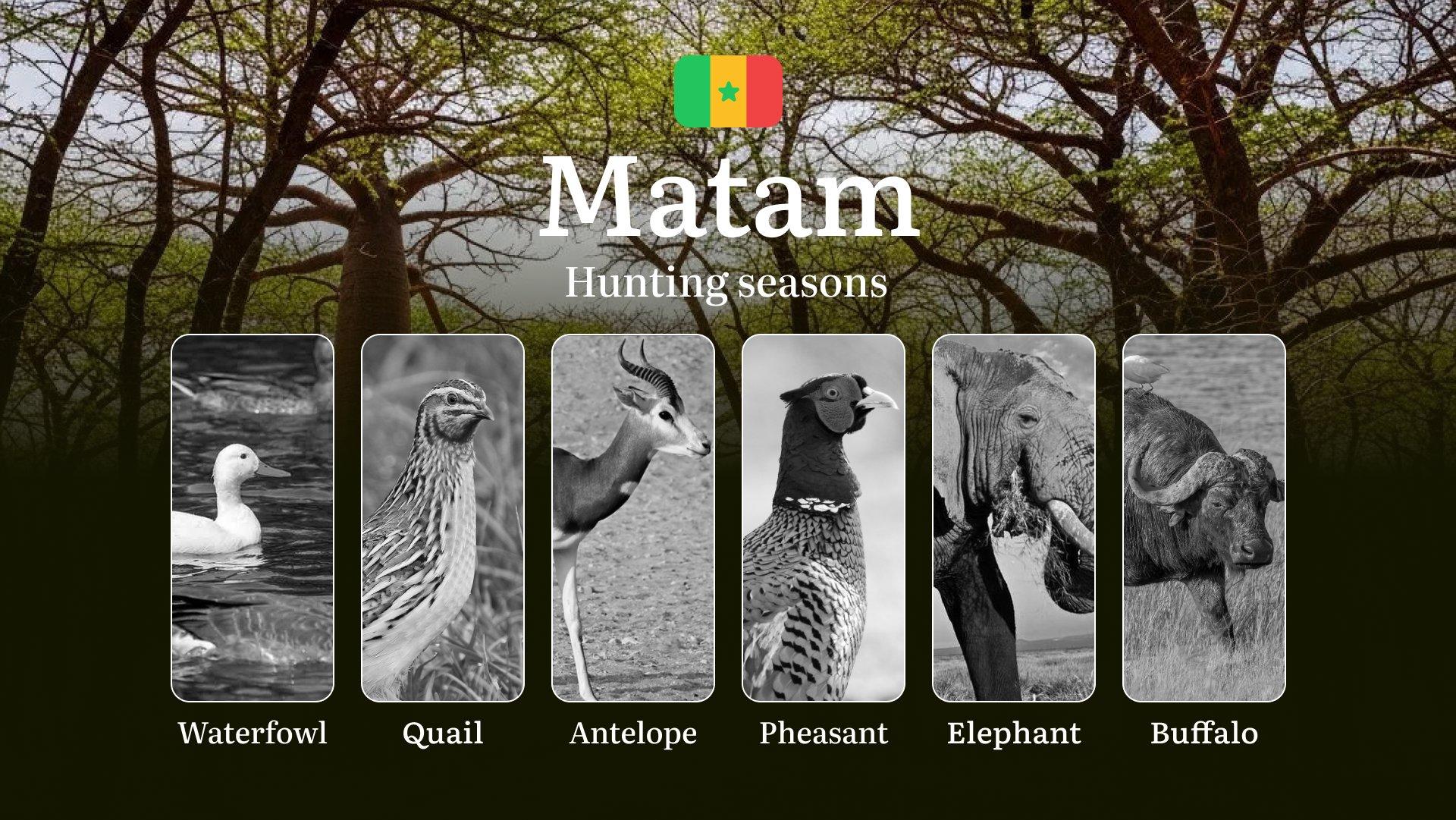 Seasons of Hunting in Senegal, The MATAM Region: Dates and Time, Hunting Bans and Restrictions, Penalties for Violating Hunting