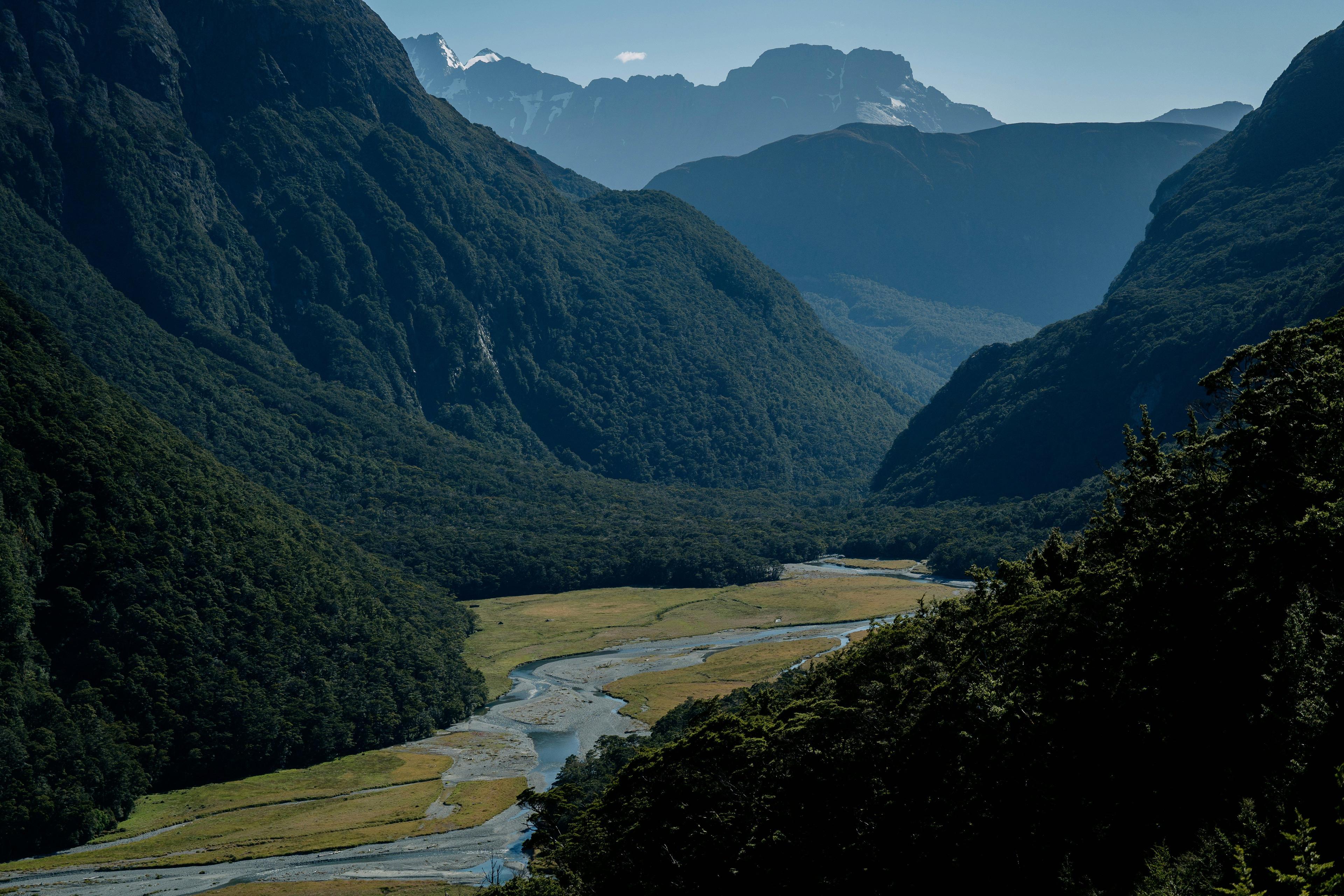 Hunting in Catlins Forest: find curious hunting facts, seasons, laws, clubs and associations in the heart of New Zealand