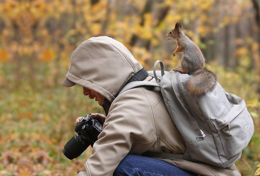 🦊Можно ли бегать за диким животным?