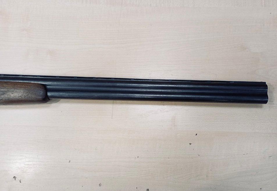 ИЖ-25: ружьё для охоты и стендовой стрельбы –обзор, характеристики, модификации, отзывы