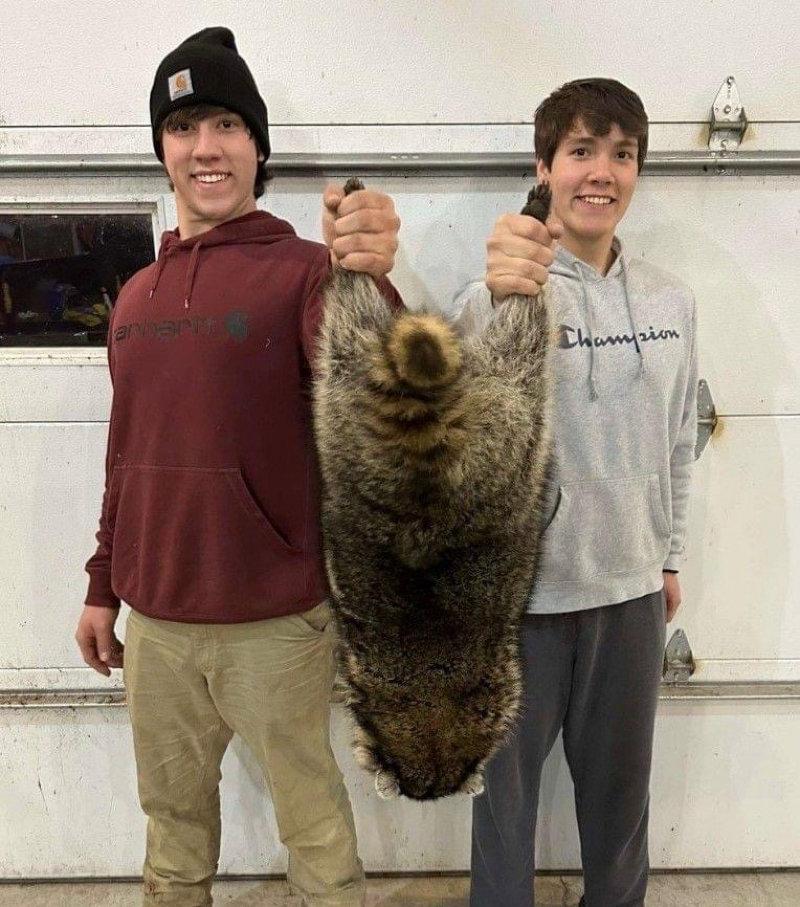 RACCOON RECORD!