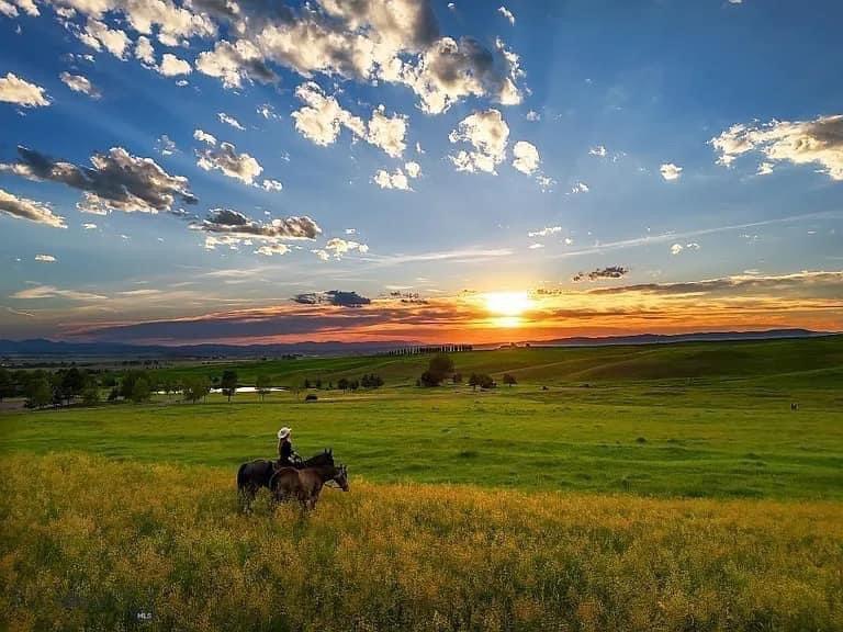 7980 Walker Rd, Bozeman, MT 59715