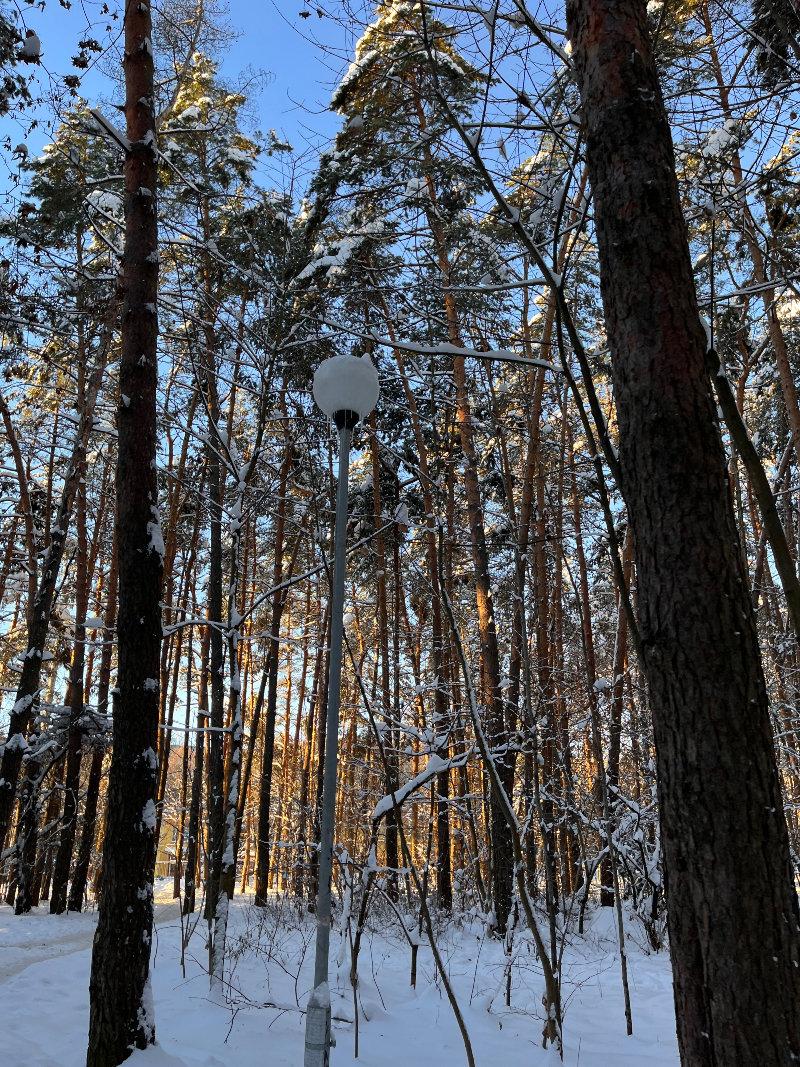 ❄️