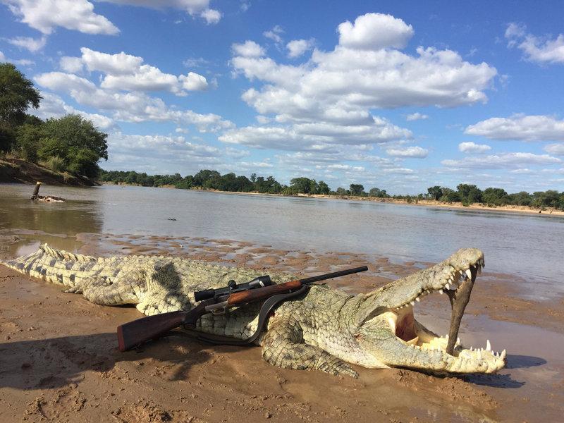 Crocodile hunting in Africa with a carbine: an exciting adventure and challenges