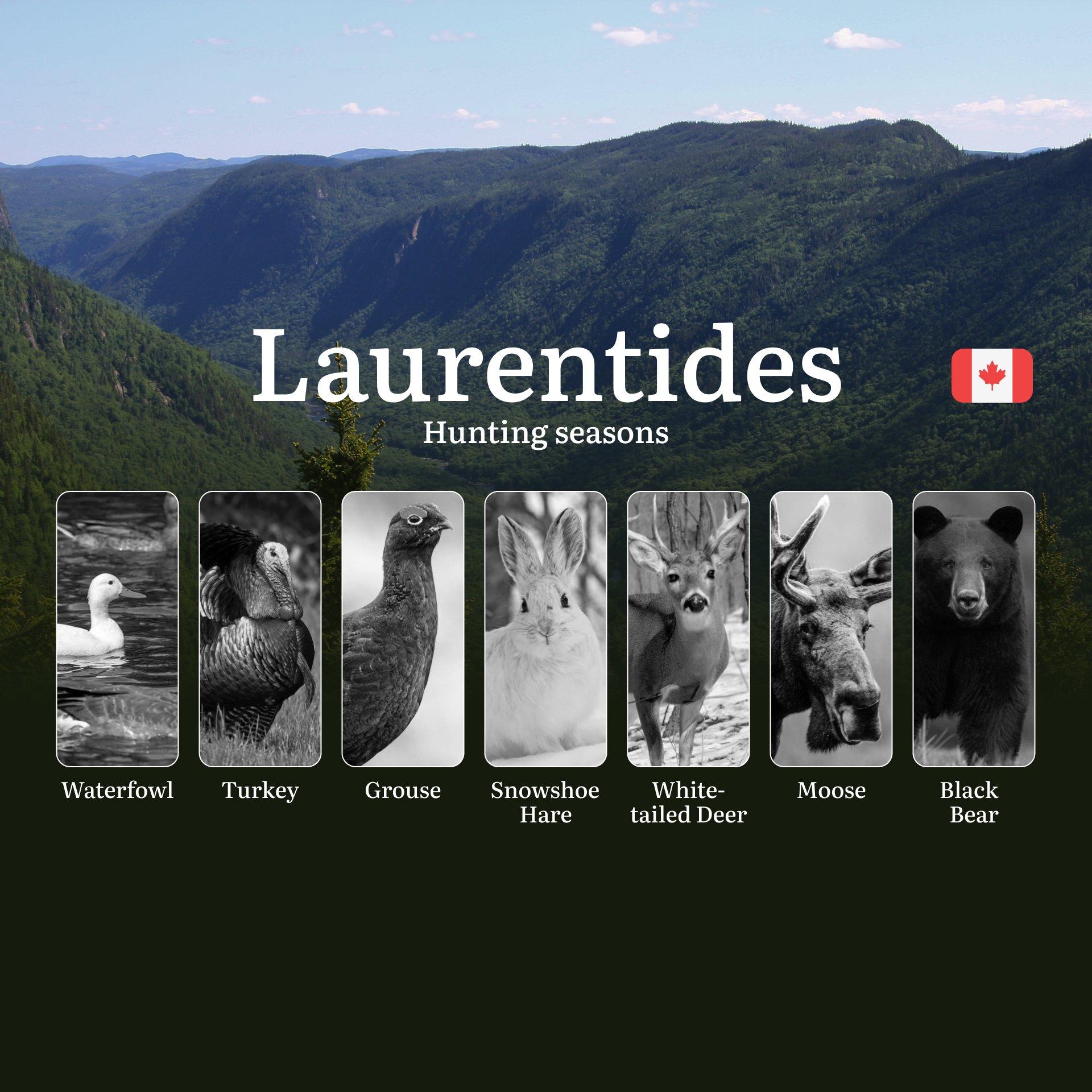 Hunting Seasons in LAURENTIDES, Canada: Official Dates, License Requirements and Zone-Specific Regulations 
