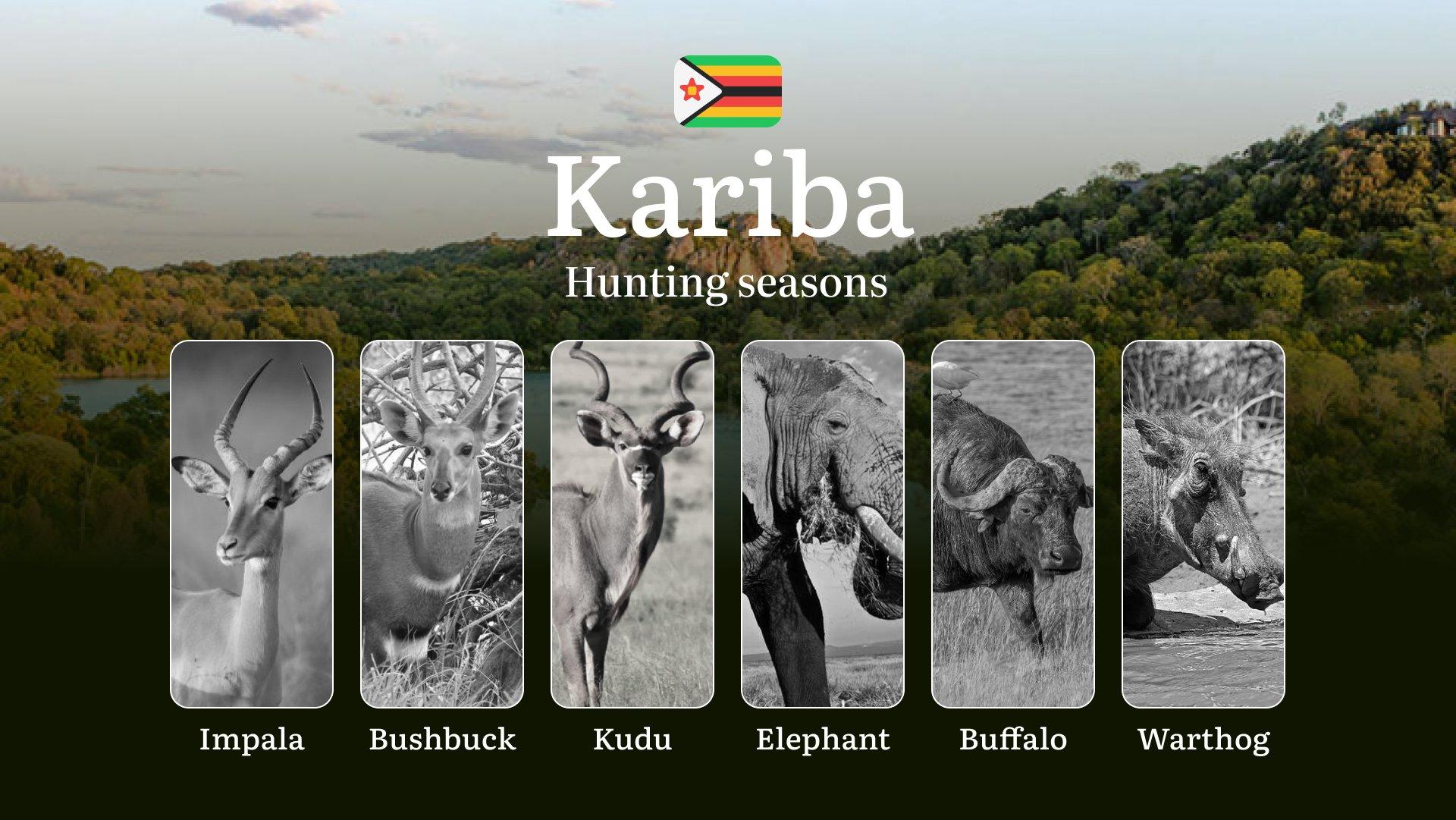 Seasons of Hunting in Zimbabwe, The KARIBA Region: Restrictions and Protected Species, Regulations, Licenses, and Tips for Hunting 