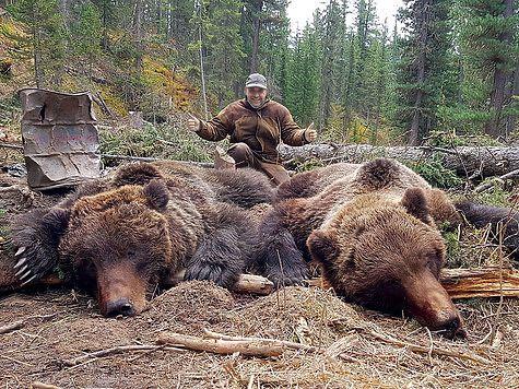 На Камчатке открывается охота на медведей