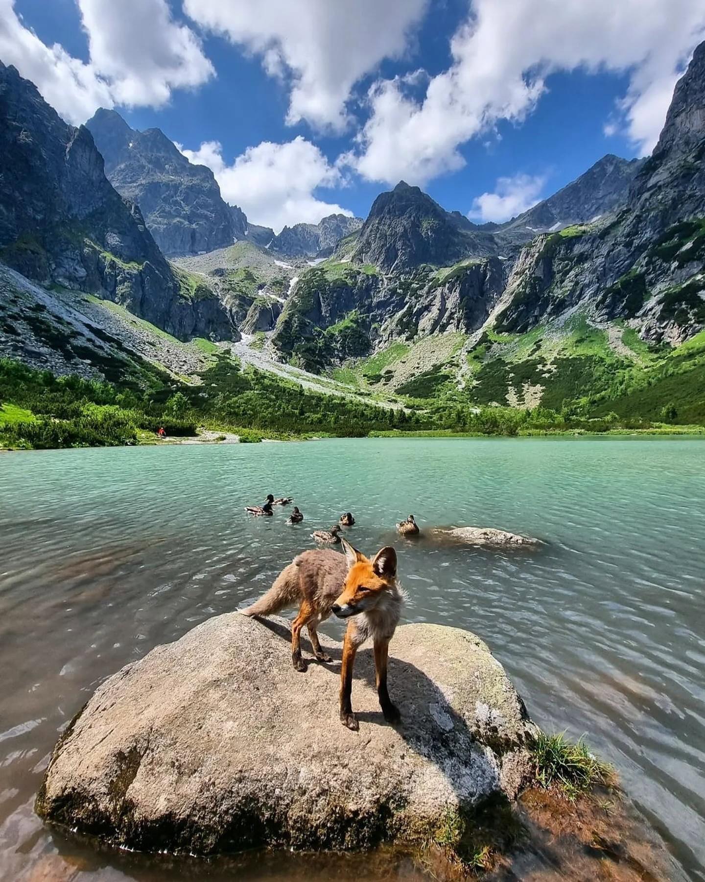 🏔️ Discover the High Tatras, Slovakia: A Haven for Nature Lovers and Adventurers!