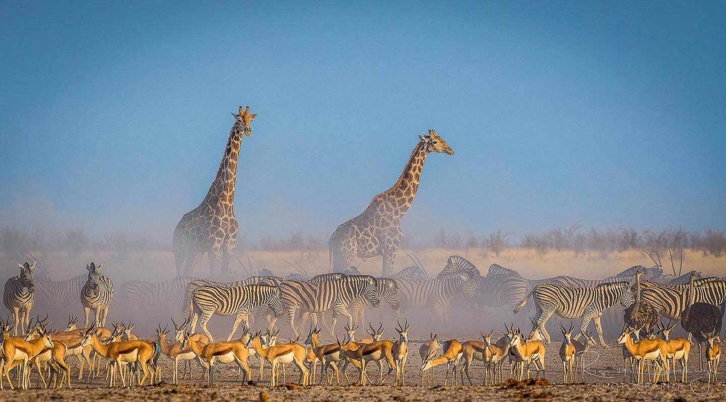This Is Africa, just like you had imagined of it.