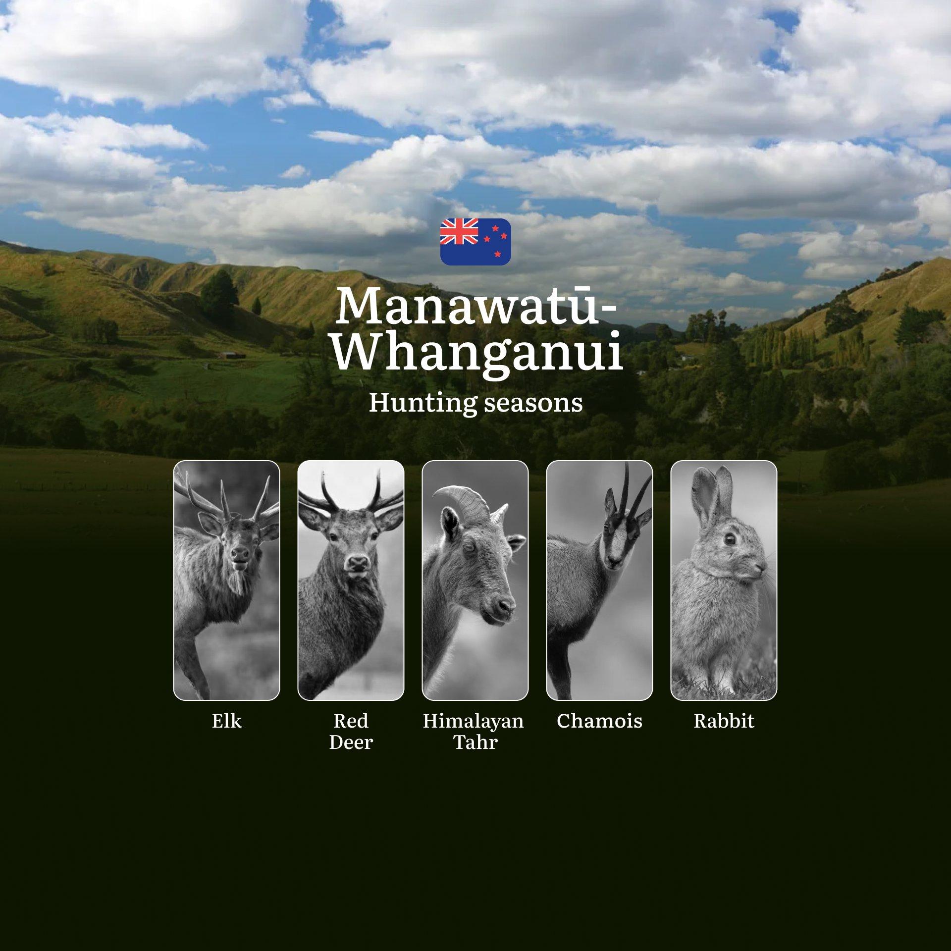 Hunting in the MANAWATŪ-WHANGANUI Region: Seasons, Rules Regulations and Best Times for Hunting