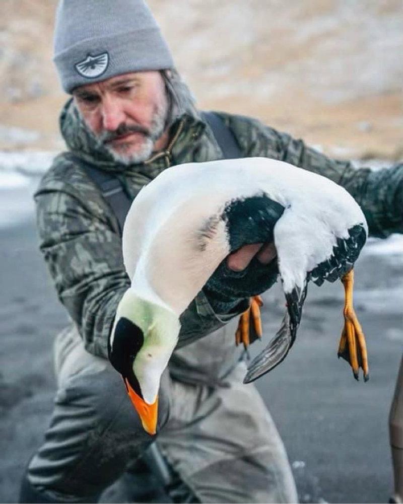 The Pacific Eider is arguably the most difficult and dangerous duck to hunt in North America.