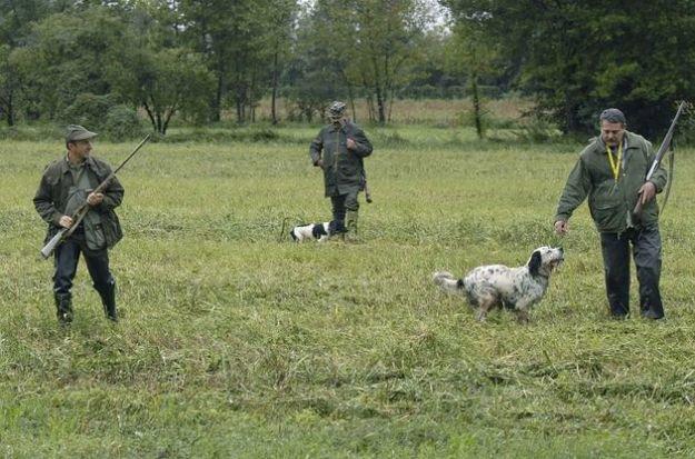 In Italia, la caccia è una passione molto diffusa tra molte persone, tra cui anche il sottoscritto.