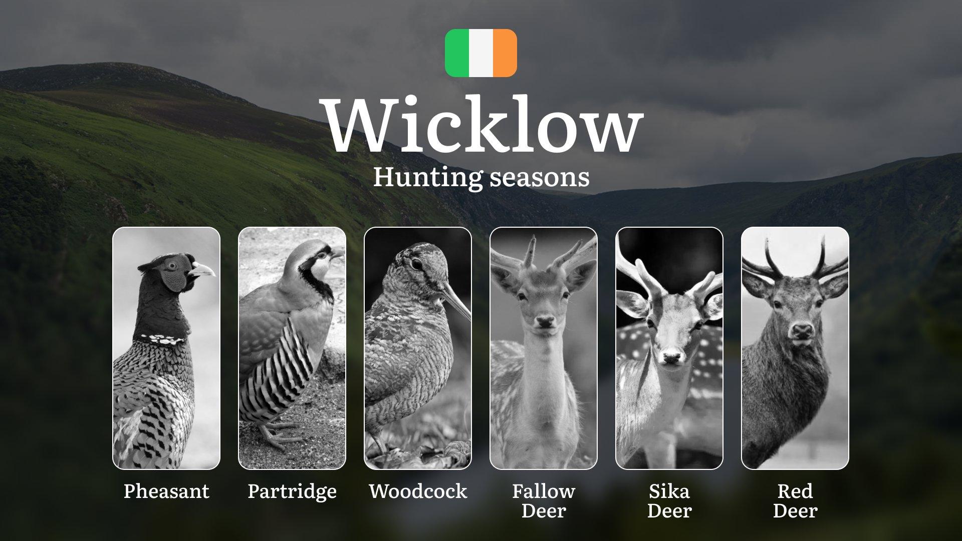 When the Land Stirs: Hunting Seasons, Calendar, Wildlife Cycles, and Traditions in WICKLOW
