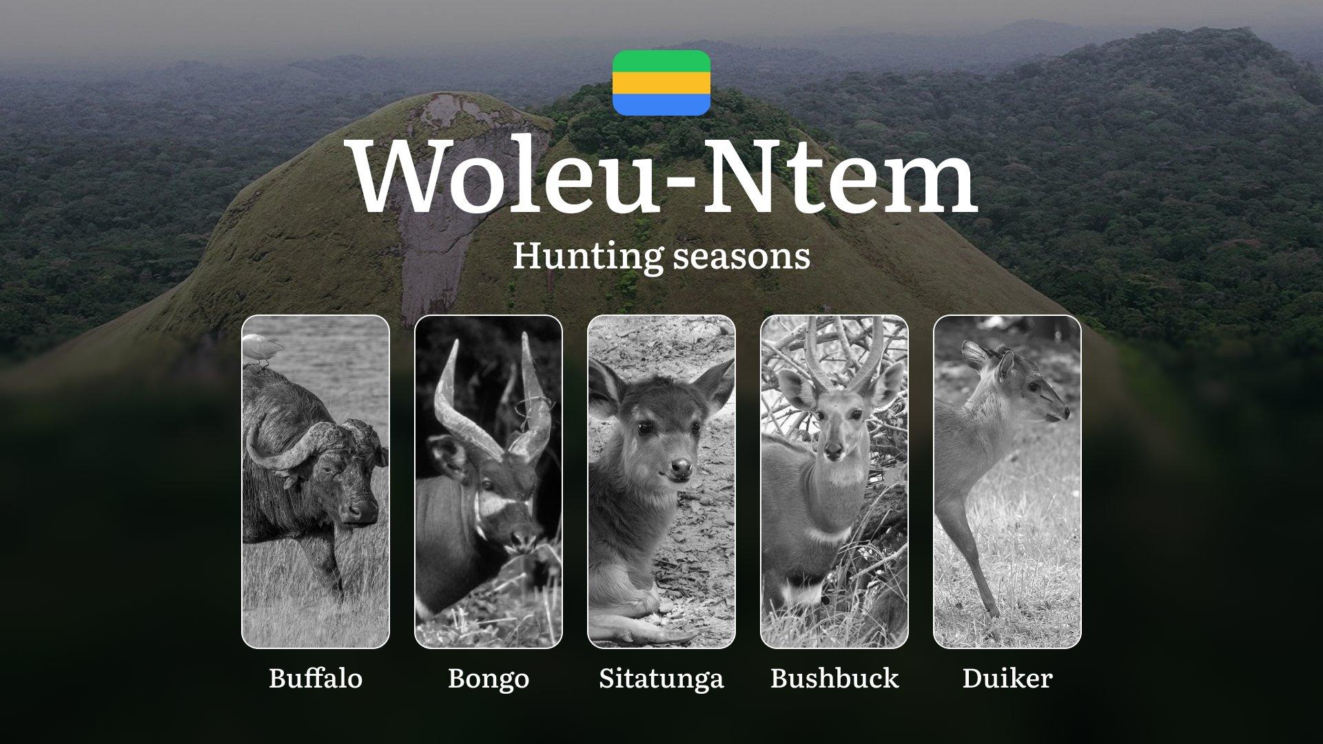 Hunting Seasons in WOLEU-NTEM: Optimal Timing, Required Permits, Penalties, Protected Species, Crucial Regulations and Restrictions