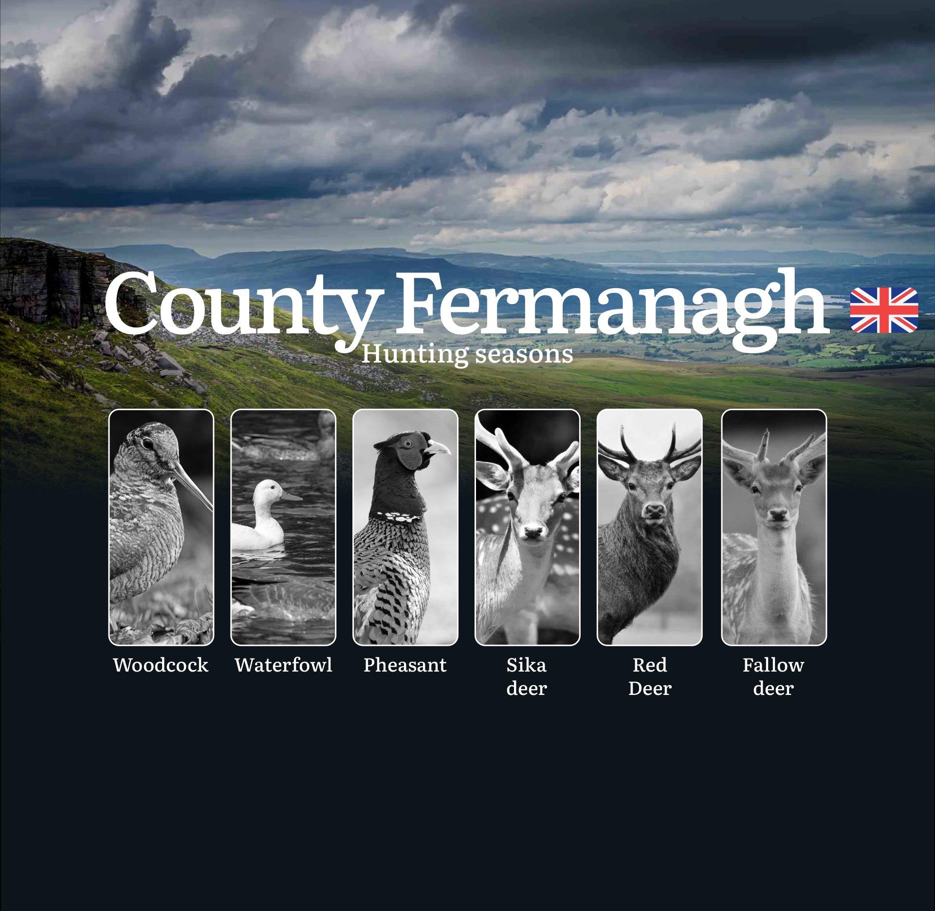 Hunting Seasons and Regulations in County Fermanagh: Seasonal Patterns and Game Activity, How to Obtain a Hunting License in the Region