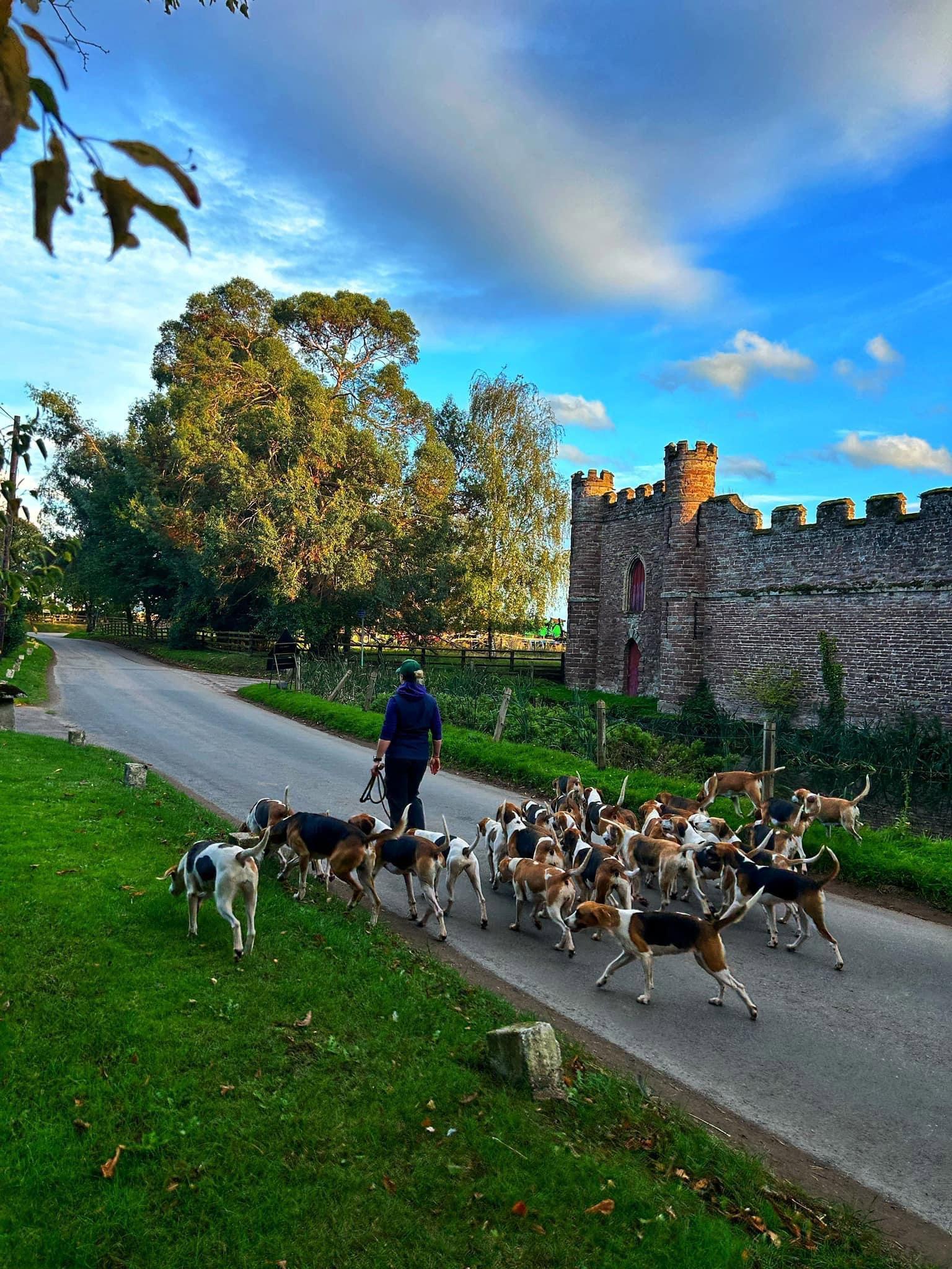 A lovely stroll out this evening.
